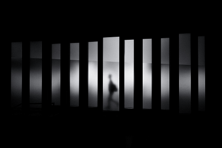 David Werbrouck